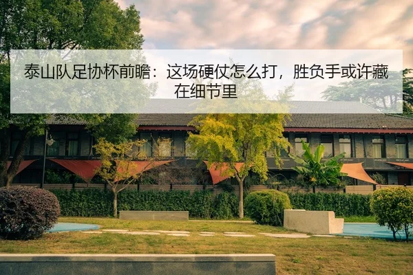 泰山队足协杯前瞻：这场硬仗怎么打，胜负手或许藏在细节里